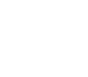 wht-logo-icon